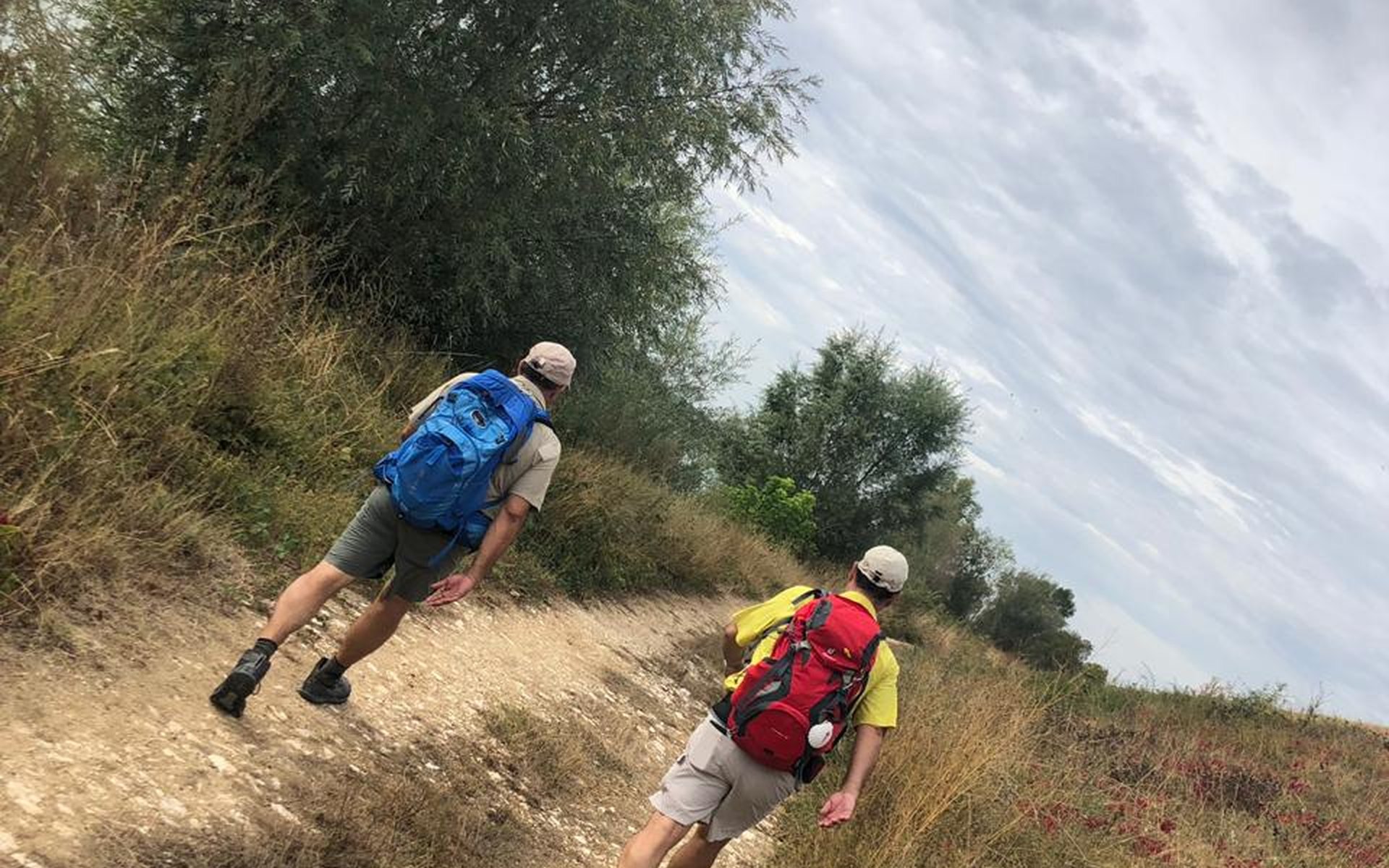 Peregrinos subiendo un sendero de tierra entre campos