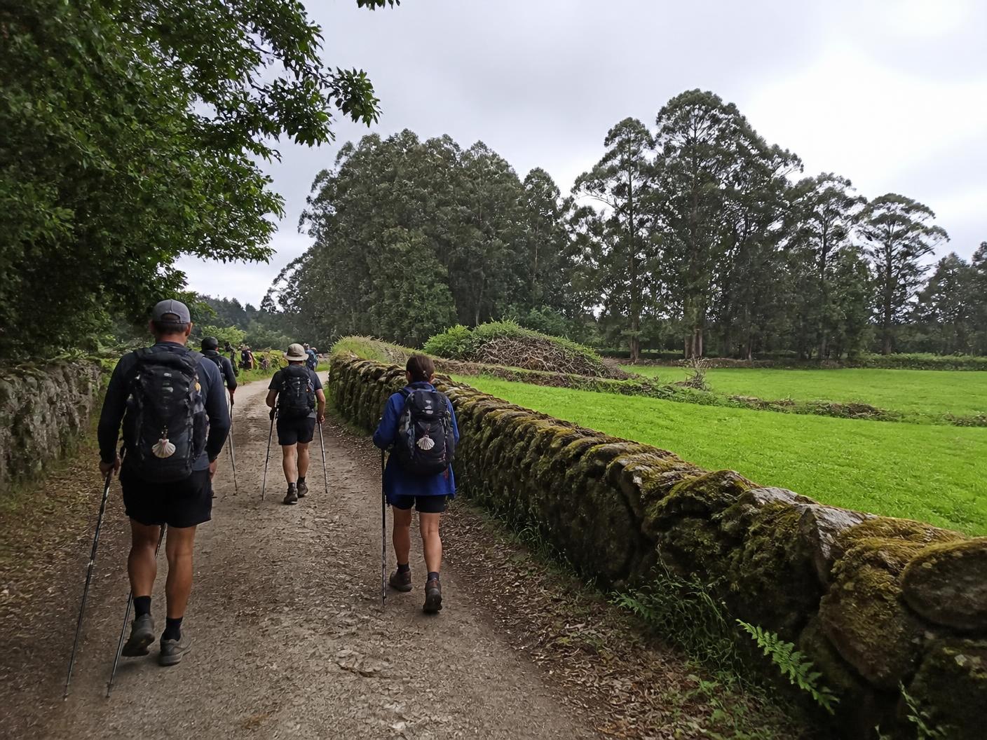Paisaje del Camino Francés