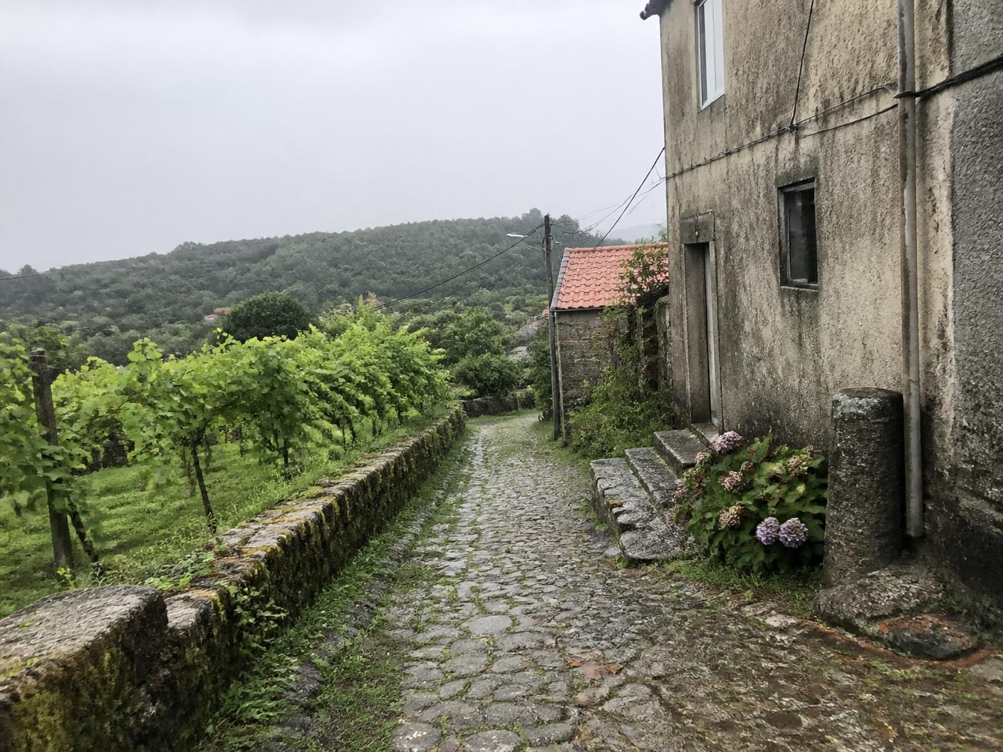 Paisaje del Camino Portugués