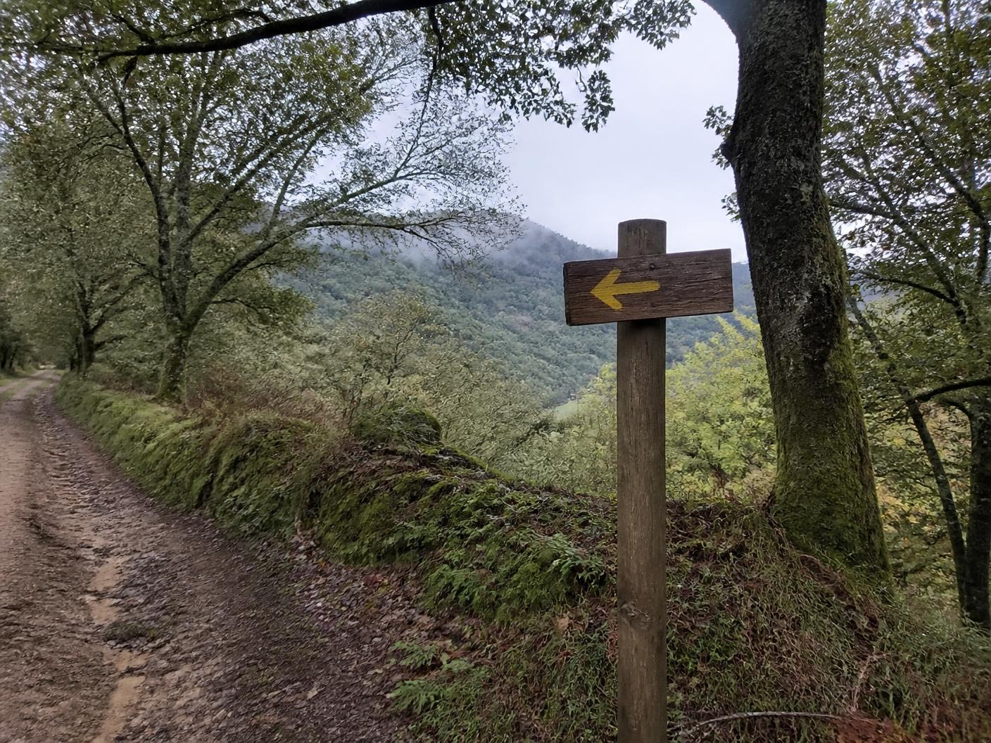 Paisaje del Camino Primitivo